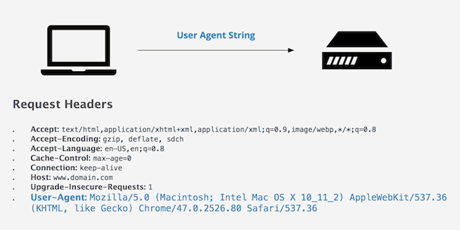 What Are User Agents With Pictures And Examples