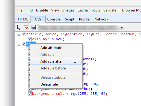 ie css rule