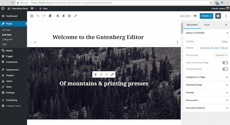 gutenberg editor sample