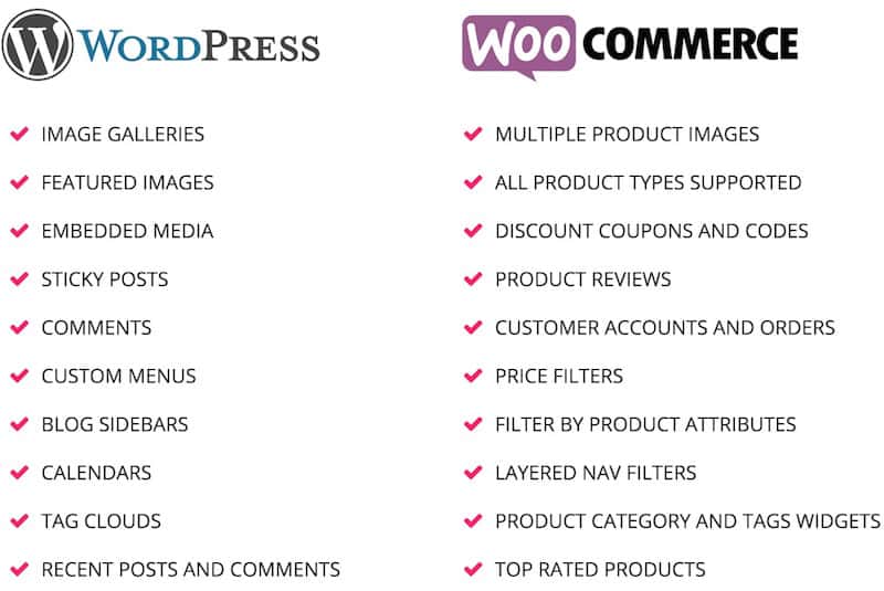 wordpress-and-woocommerce-features