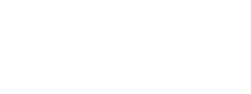 NordVPN-Logo-White